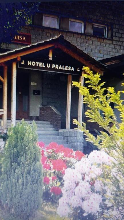 Kopretina Appartement Cerne Udoli Buitenkant foto