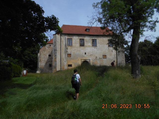 Kopretina Appartement Cerne Udoli Buitenkant foto